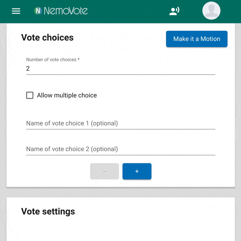 Multiple choice voting